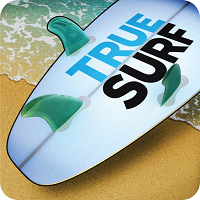 Взлом True Surf + МОД много денег
