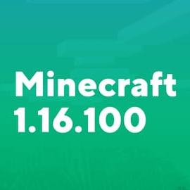 Майнкрафт 1.16.100.04