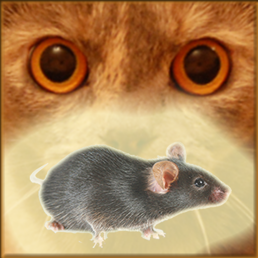 Мышка бегает по экрану игра для кошек. Мышка бегающая по экрану для кота. Мышь на экране для кошки. Мыши по экрану для кошек. Мышка для кошки на экране телефона.